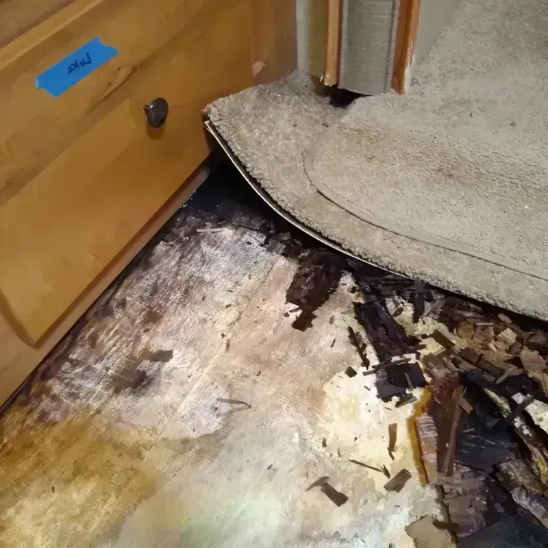 Wood Floor Water Damage in Chesterland, OH